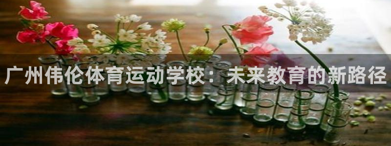 米兰体育官网下载招商电话是多少啊:广州伟伦体育运动学校:未来
