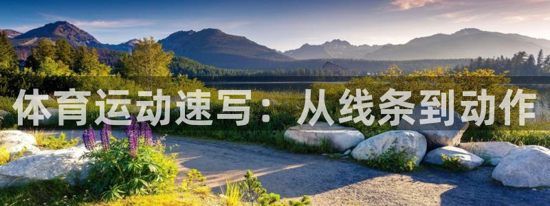 米兰体育官网下载招商电话是多少啊:体育运动速写:从线条到动作